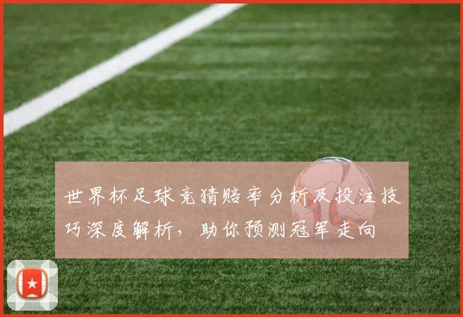 世界杯足球竞猜赔率分析及投注技巧深度解析，助你预测冠军走向