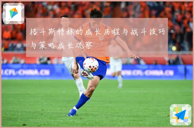 格斗斯特林的成长历程与战斗技巧与策略成长观察