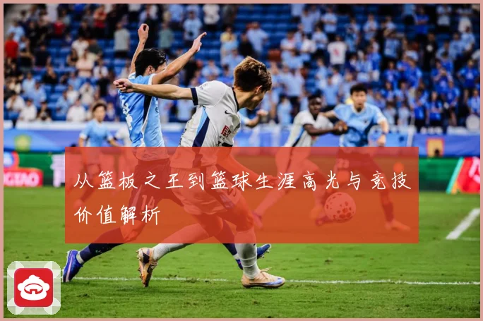 从篮板之王到篮球生涯高光与竞技价值解析