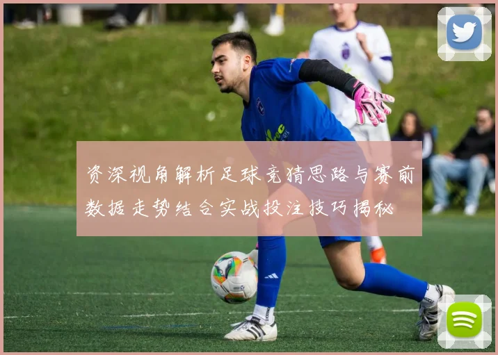 资深视角解析足球竞猜思路与赛前数据走势结合实战投注技巧揭秘