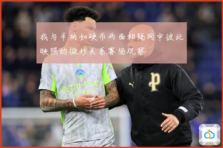 我与辛纳如硬币两面相隔网中彼此映照的微妙关系赛场观察