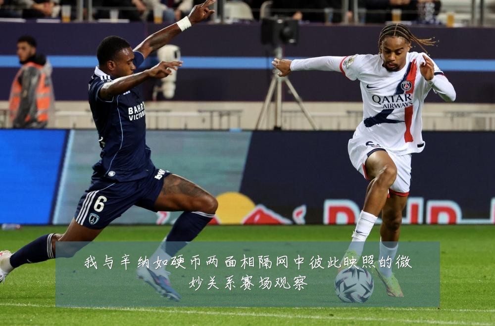 我与辛纳如硬币两面相隔网中彼此映照的微妙关系赛场观察