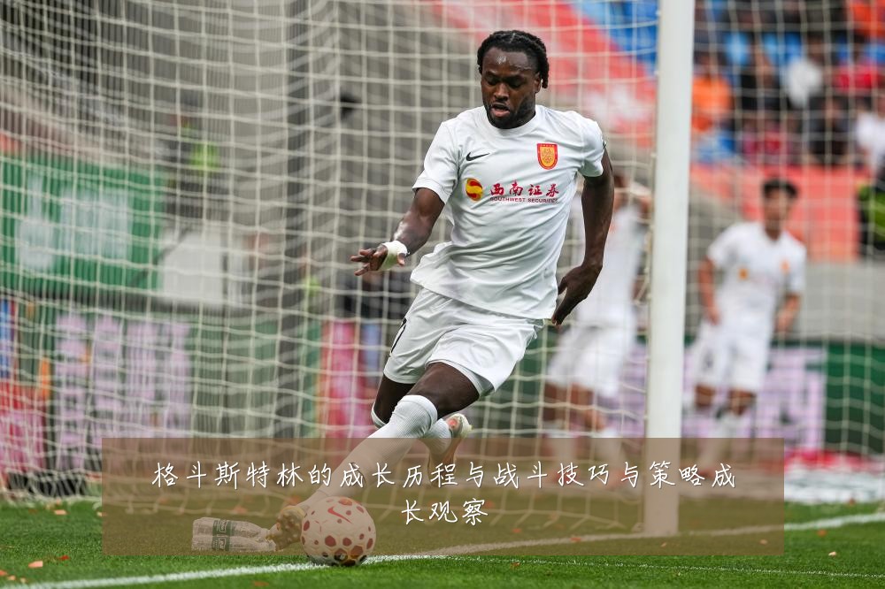 格斗斯特林的成长历程与战斗技巧与策略成长观察