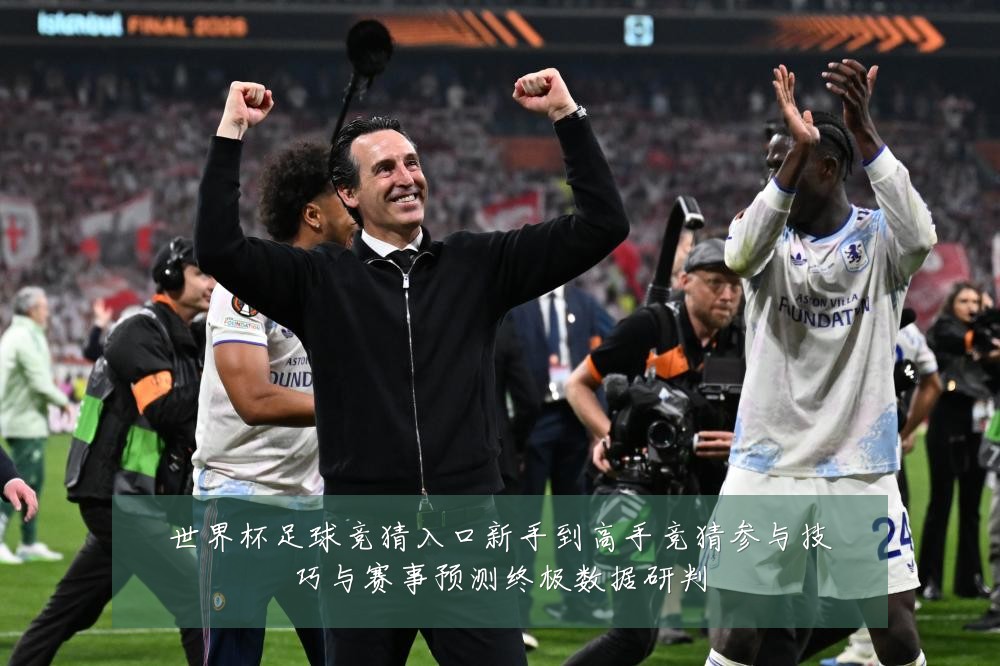 世界杯足球竞猜入口新手到高手竞猜参与技巧与赛事预测终极数据研判
