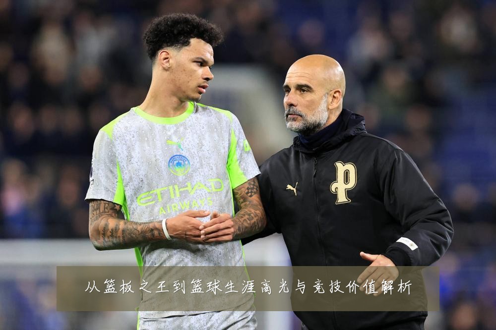 从篮板之王到篮球生涯高光与竞技价值解析
