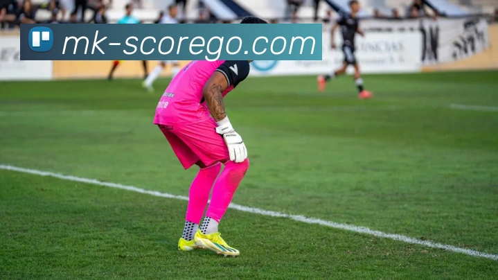 MK体育平台展示图